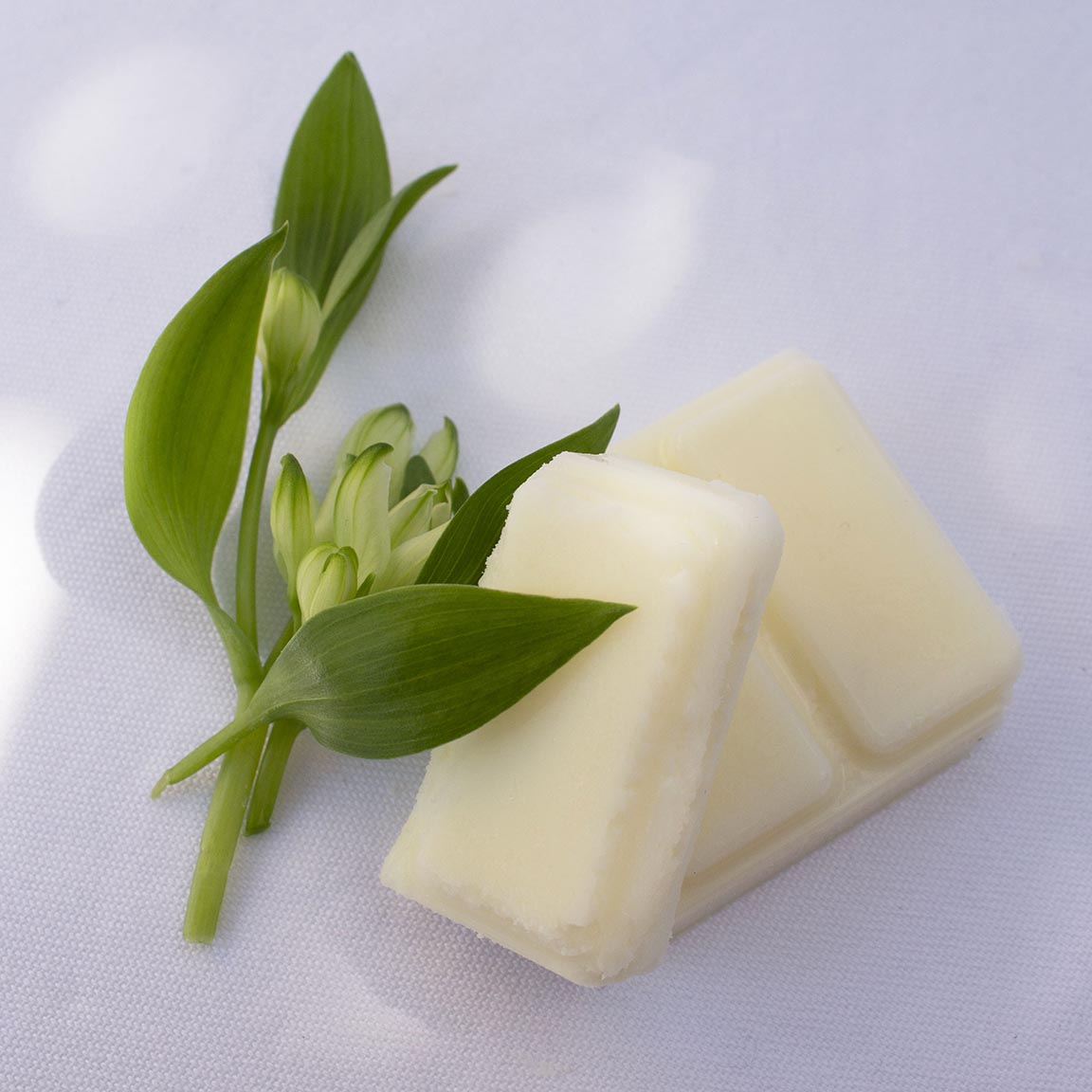 Himalayan Cedar & Jasmine Wax Melt