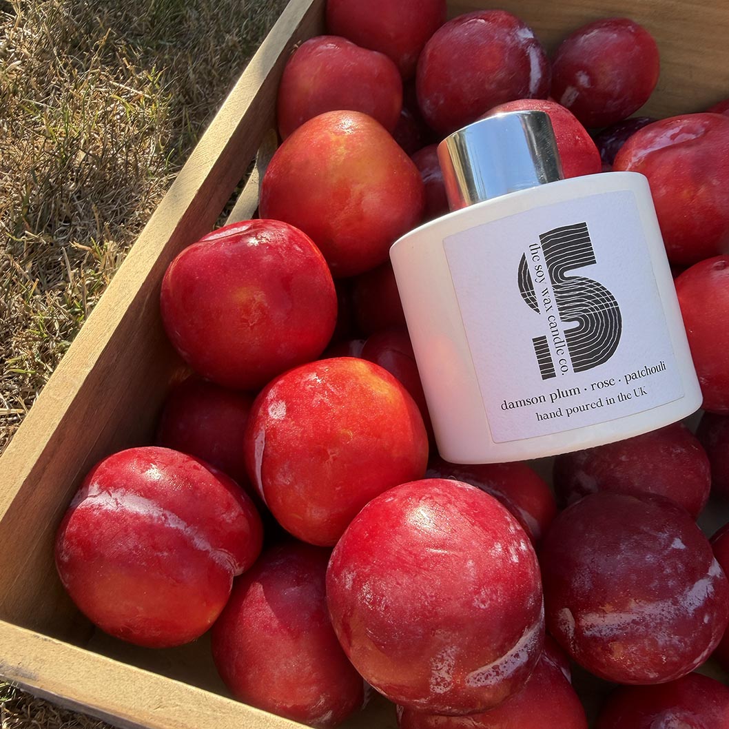 Damson Plum, Rose and Patchouli Reed Diffuser, hand-poured in Essex