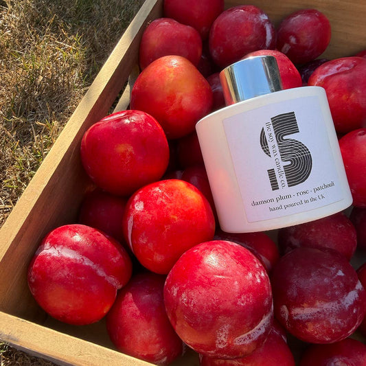 Damson Plum, Rose and Patchouli Reed Diffuser, hand-poured in Essex